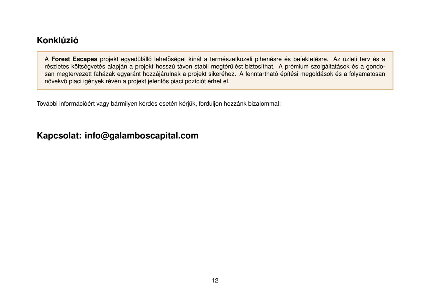 Forest Escapes üzleti terv – oldal 13