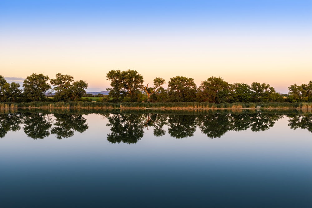 Still water at dusk