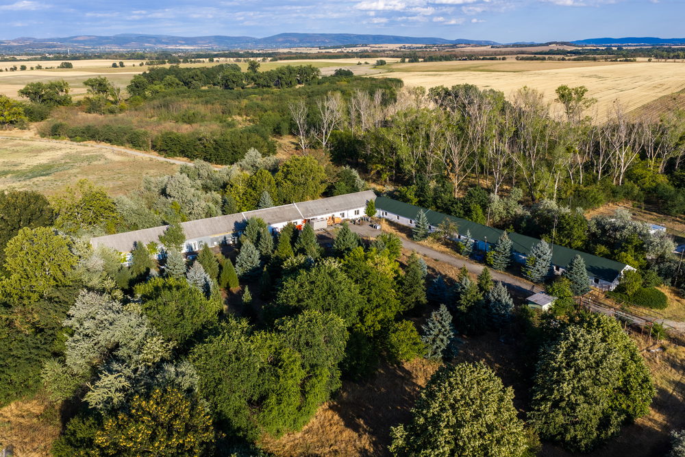 The single-storey complex under its pines, open country beyond